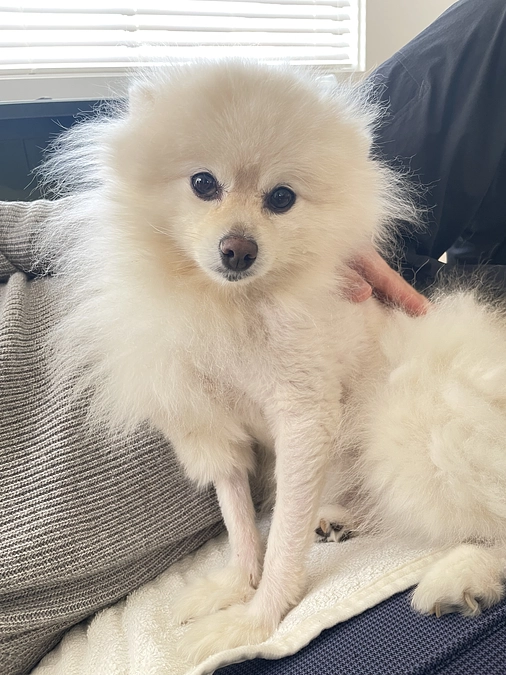 術後の検査(2週間検診)