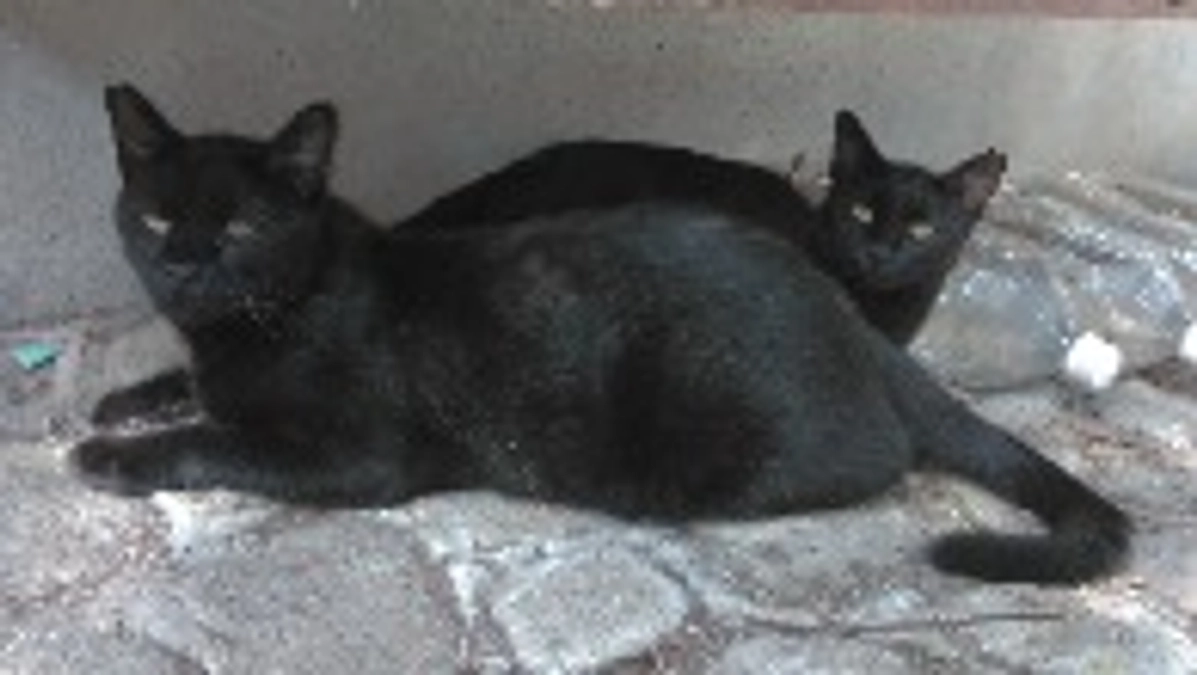 小さな命を見守る