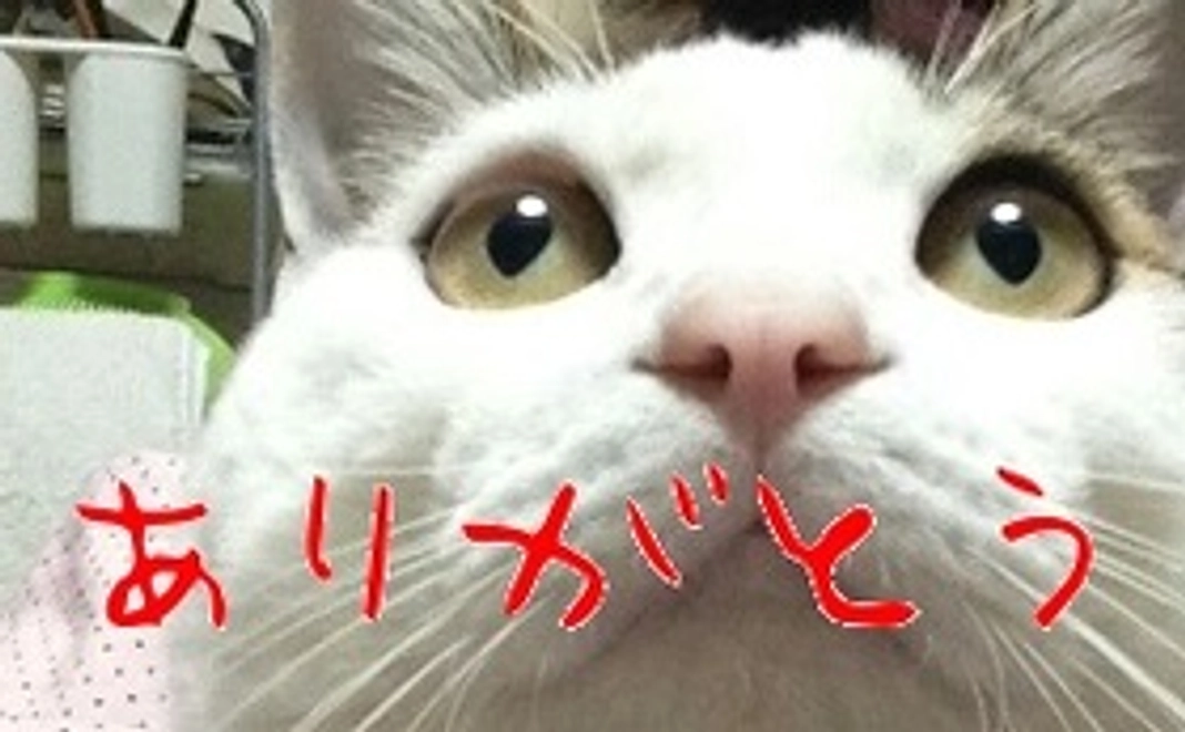 直筆サンクスレターセット