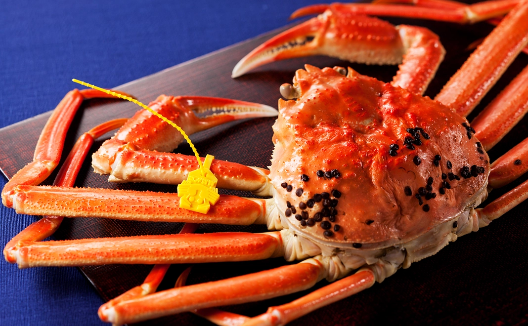 【大会パートナー】有限会社 増米商店様より〈茹で越前がに 700ｇ〉をお届け