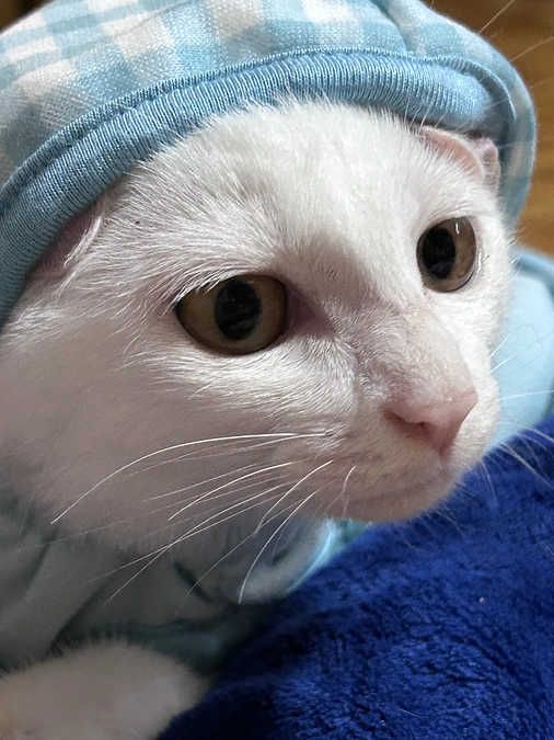 皆様のご支援に改めて感謝申し上げます