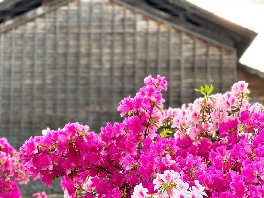 残りあと１日です☀