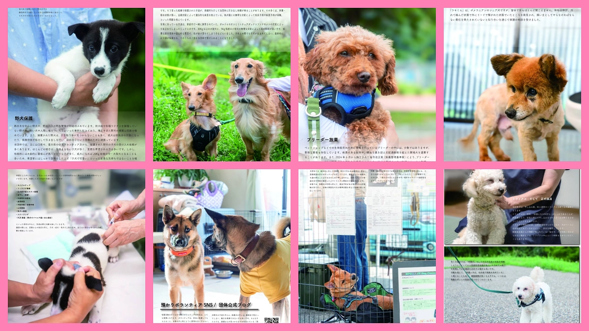 パネルの紹介　60日間、ありがとうございました