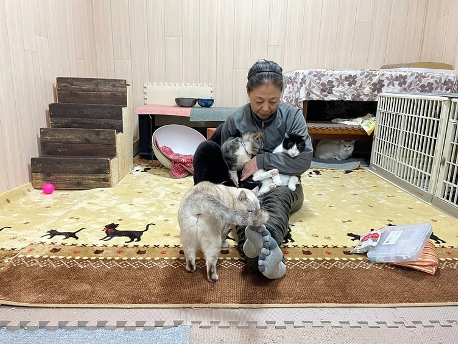 新玉旅館・朋猫ハウスを応援してくださったことのある皆さまへ。ぜひ読んでいただきたいです