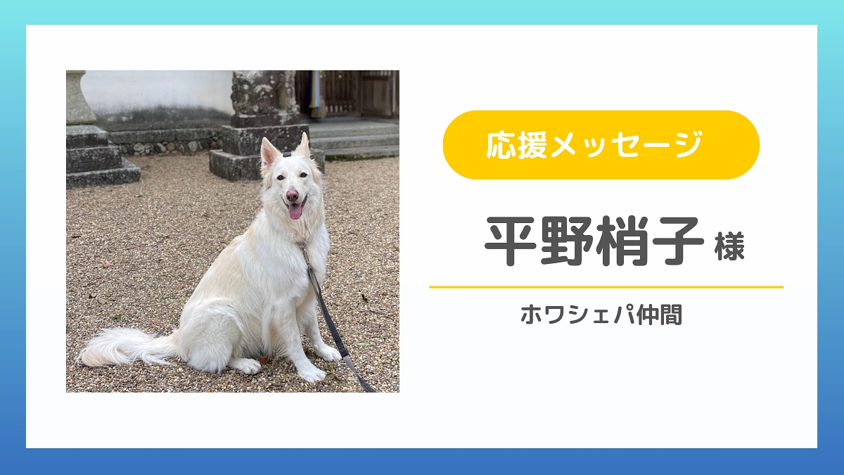 【応援メッセージのご紹介】平野梢子様（ホワシェパ仲間）