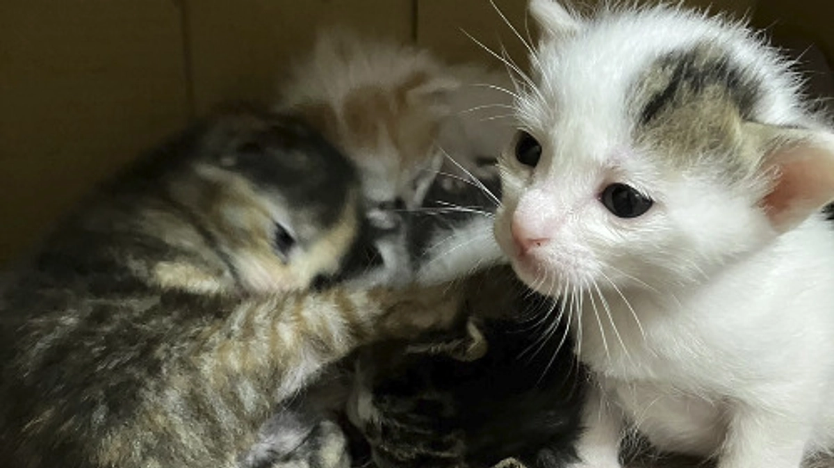 4月の中間報告！