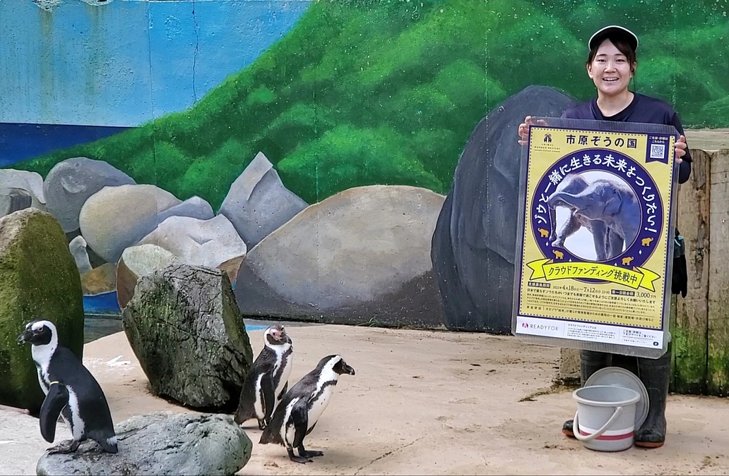 応援してくださる皆様へ☆スタッフからのメッセージ☆