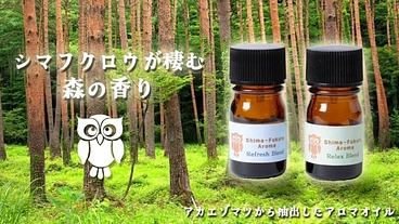 シマフクロウが棲む森をイメージしたアロマオイルで保護活動に貢献！ のトップ画像