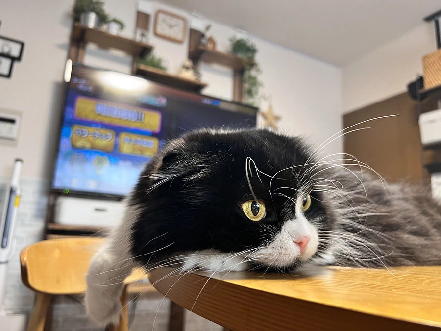 残り10日。いつも応援ありがとうございます😊