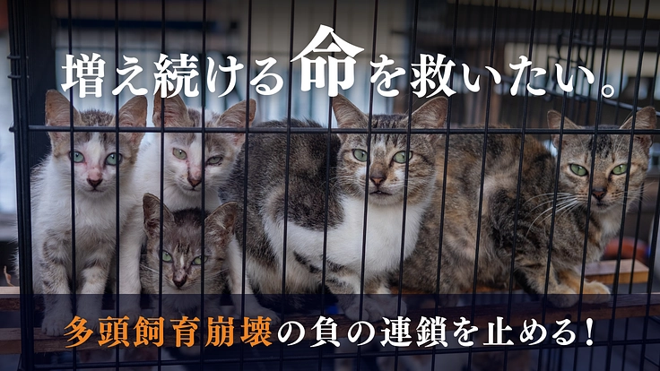 多頭飼育崩壊の連鎖を断ち切る！犬猫のいのちを守るプロジェクト