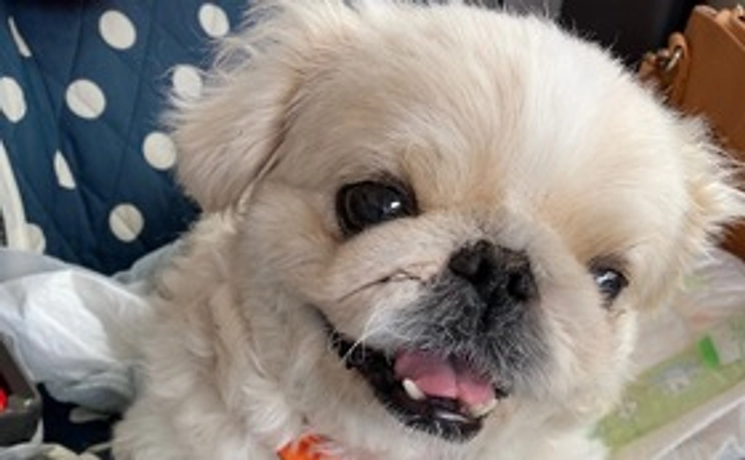 くう応援コース②