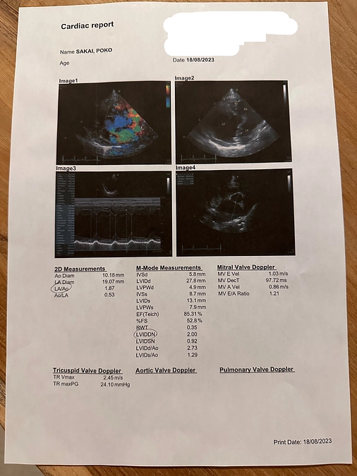 最新のデータです🫀