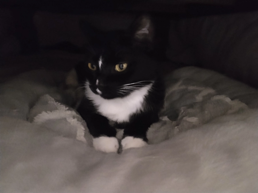 3/31はなちゃんの様子