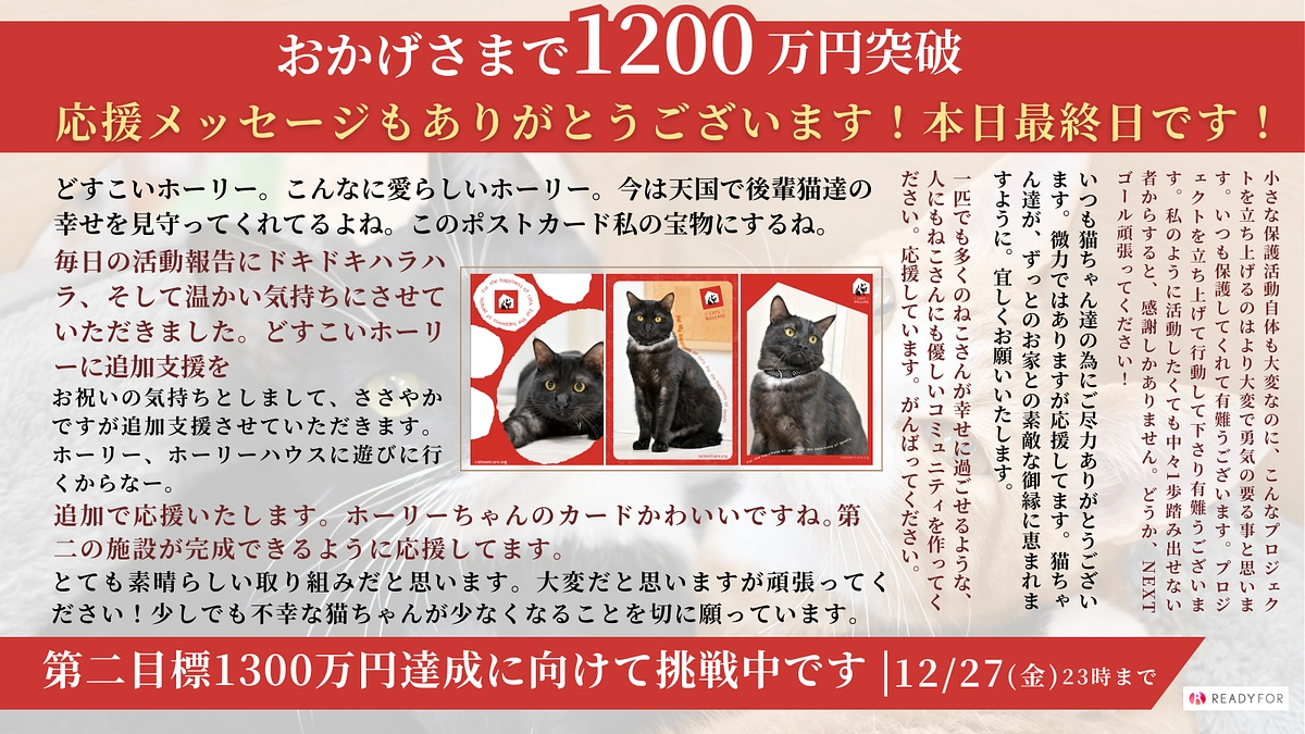 【1,200万円突破】本日23時までとなっております！
