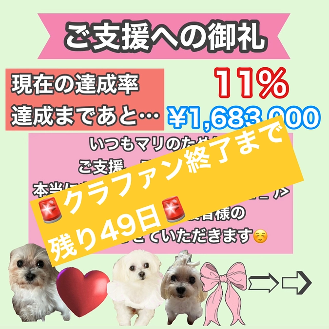 残り49日‼️ご支援への御礼