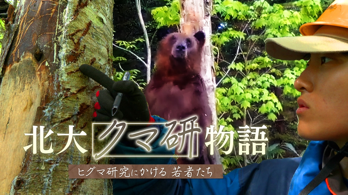 NHK「北海道道」で北大クマ研を紹介