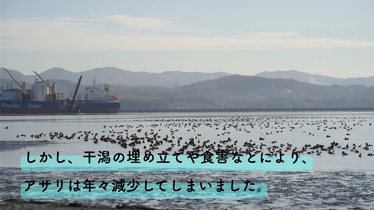 松永湾|尾道/山波のアサリを再生し、人を繋ぐ豊かな里海を次世代へ 3枚目