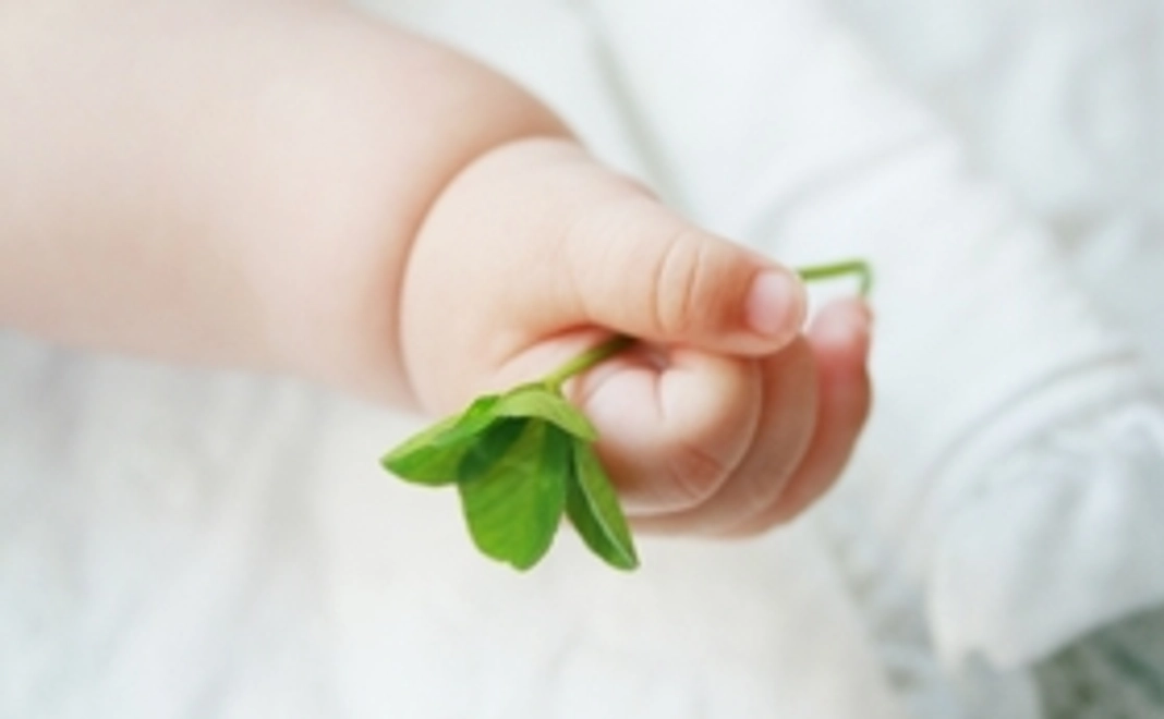 CDをプレゼント