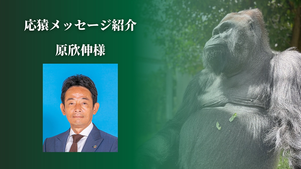 【クラファン活動報告㉟】犬山市長から応猿メッセージいただきました！