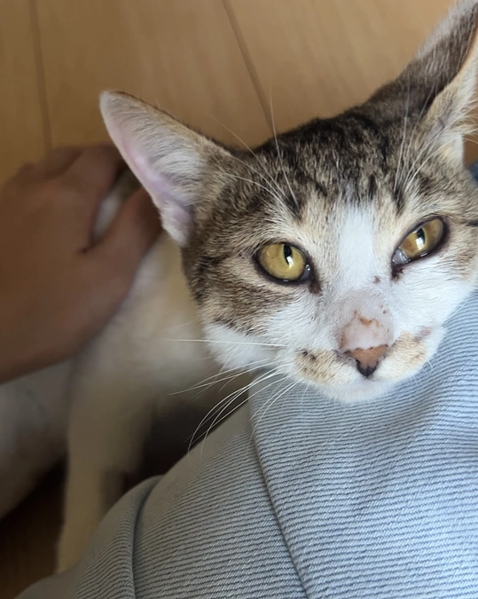 アンジュちゃんの甘えん坊写真♡