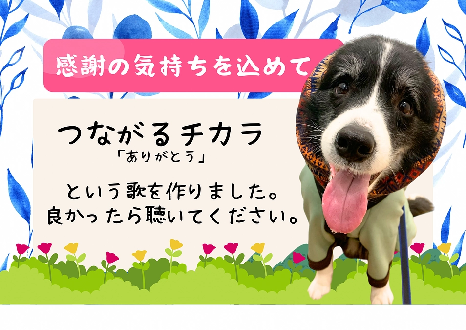 つながるチカラ「ありがとう」