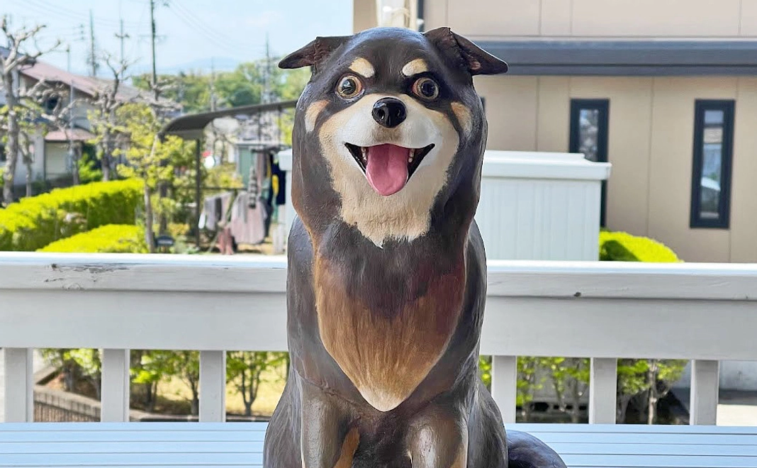 毎月10,000円コース（特典あり）