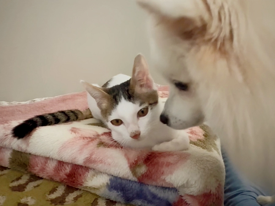 目標達成いたしました！