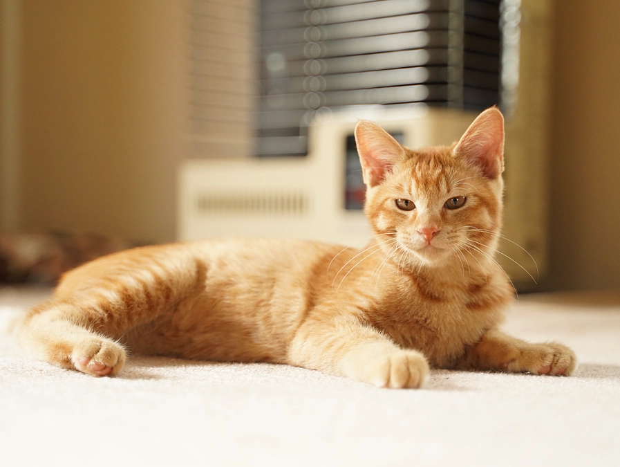 リターン発送しました。