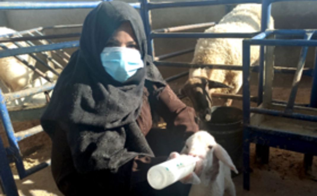 10,000円寄附コース