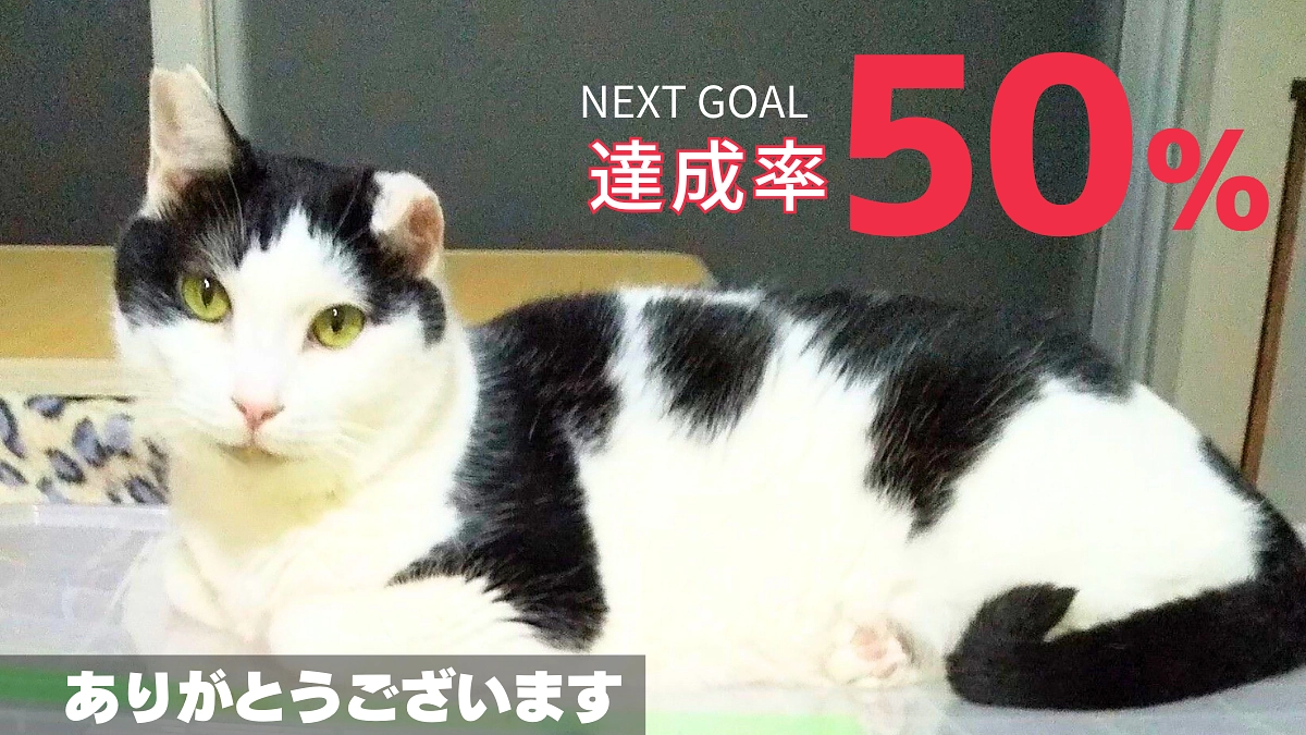 【250万円達成・ありがとうござます】ハッチとぶっちゃんを歯の治療の為に病院へ連れて行きました。