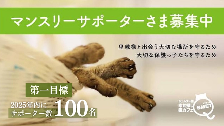 Qsmetサポーター募集！｜1匹でも多くの命を救いたい