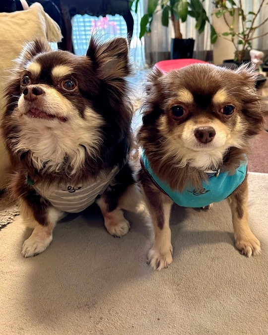 ready for 様より お振込みをいただきました！