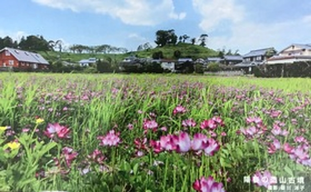 ■感謝のメール（5,000円）