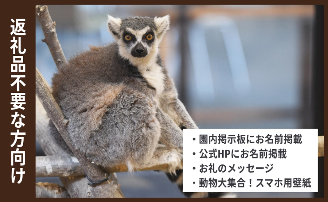 返礼品不要な方向け応援コース｜50,000円