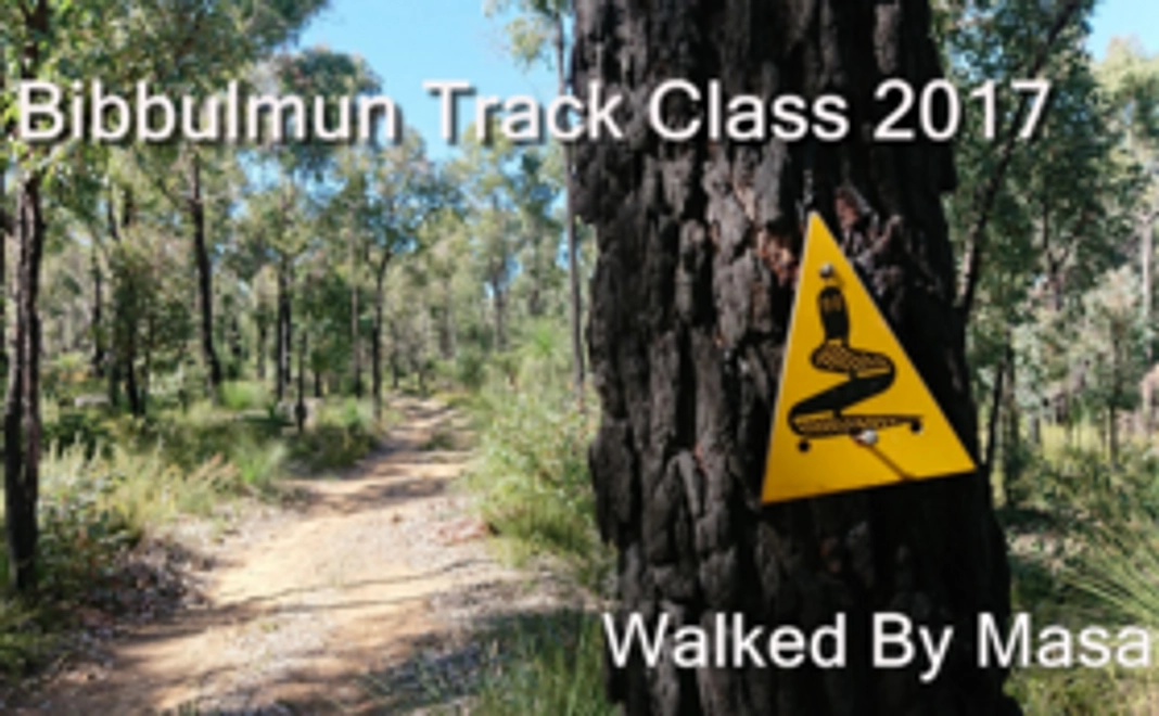 トレイルの写真13枚を使用した2019年カレンダー