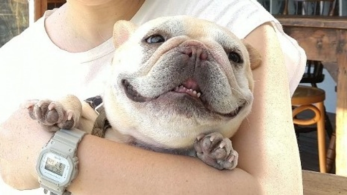 経過報告④　手術から２か月が経ちました。