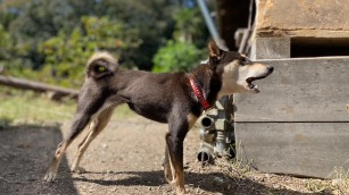 残り2日となりました！！