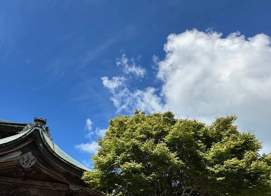 愛媛新聞に掲載していただきました