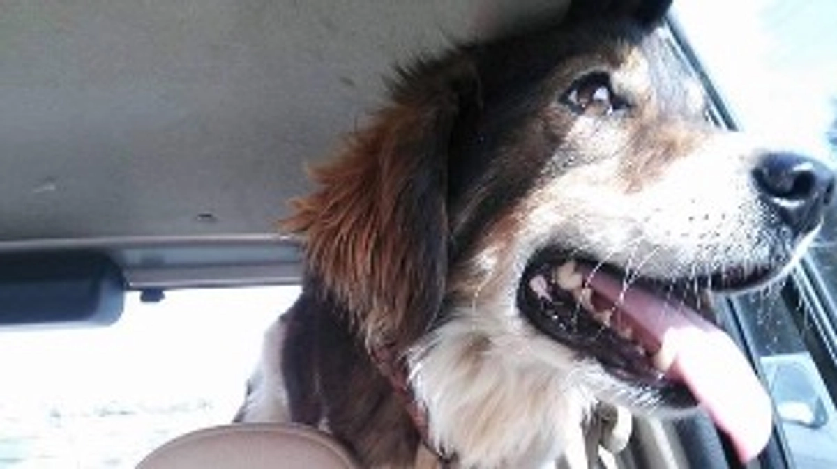 とても誇らしい訃報