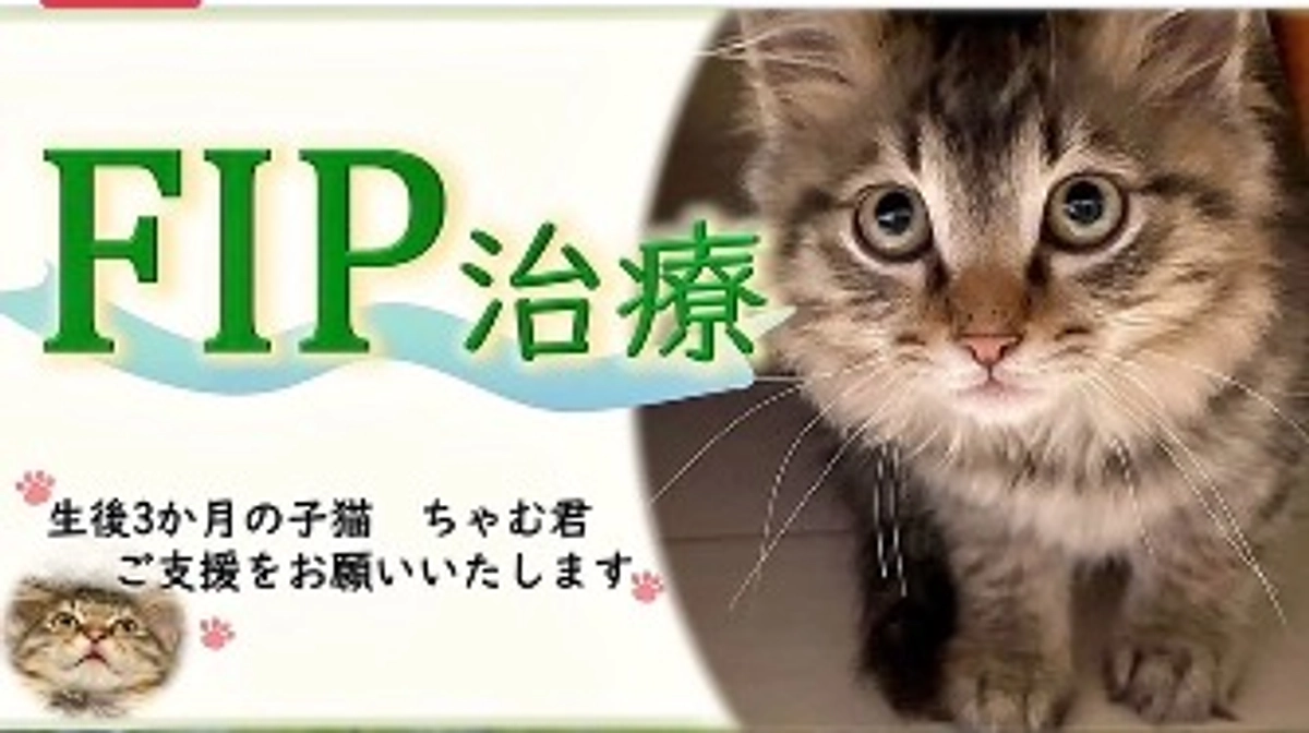 支えてくださった皆様ありがとうございました、達成できました