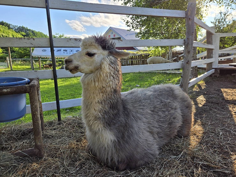 工事　８日目(２週目)