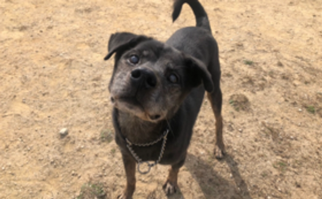 【3,000円】お気持ちコース