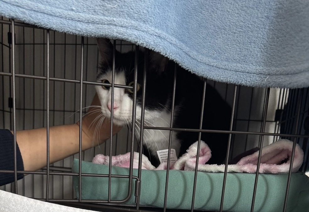 滋賀県大津市へトライアルに行きました