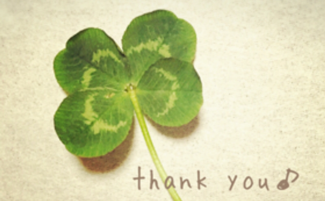 お礼のメッセージ&活動報告