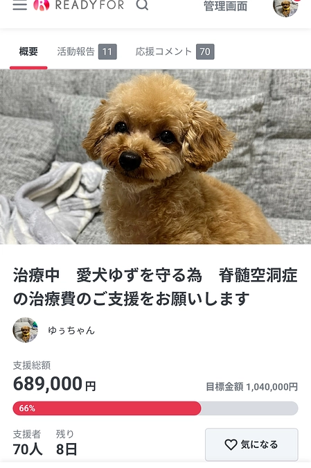 代理支援を頂きました。