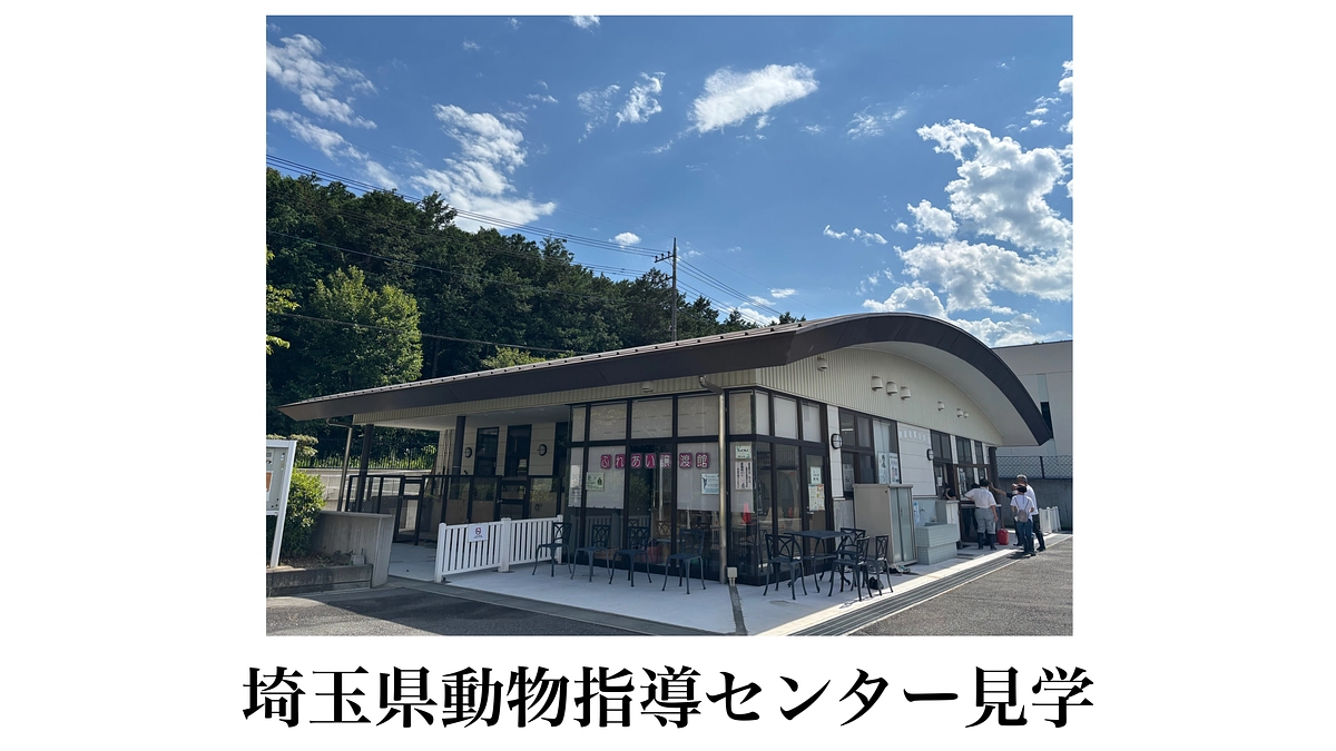 「命の分かれ道に立つ場所で感じたこと」埼玉県動物指導センター見学
