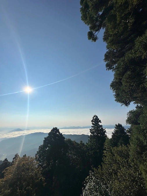 残り11日、９５%間近までやって来ました。