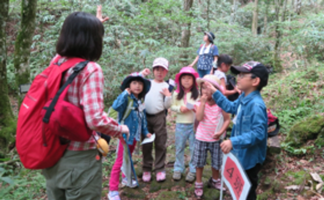 子どもたちを原生林に連れていきたい！！～本当の森体験ツアー