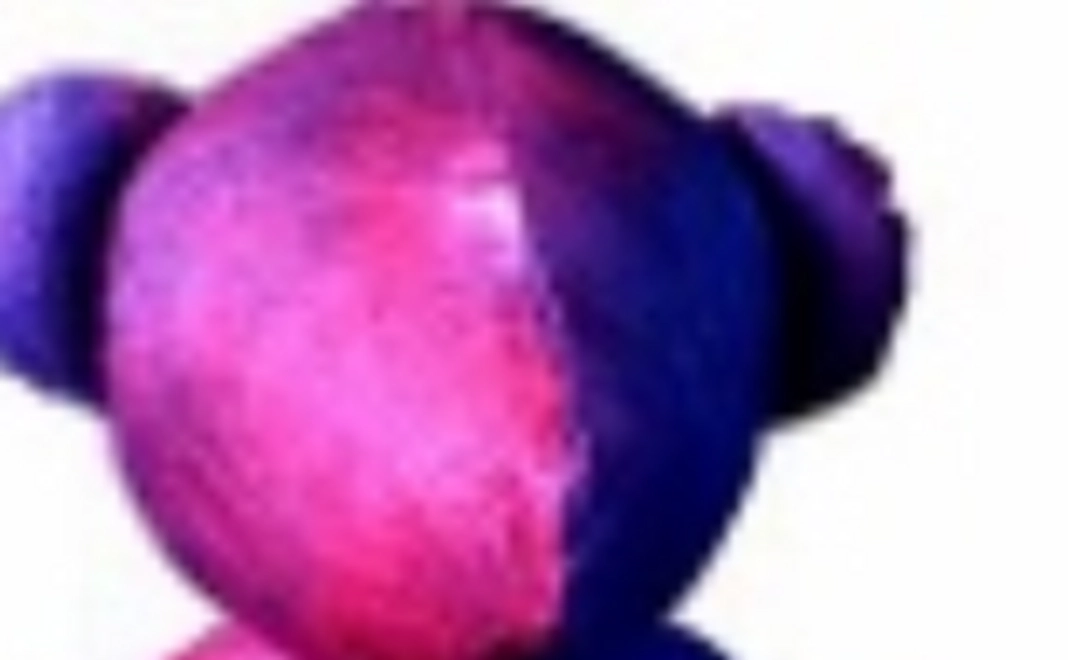 ＫＡＭＩＥ（中）とリーフレット