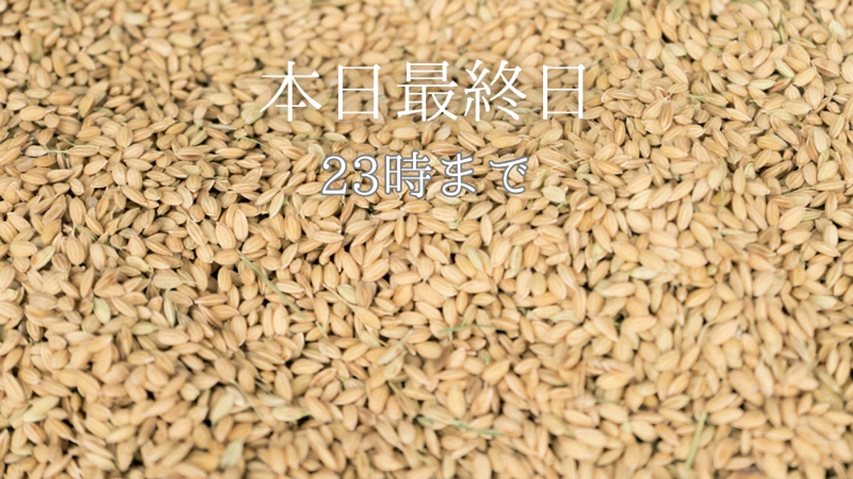 【本日最終日】ご支援は本日10日(火)23時まで